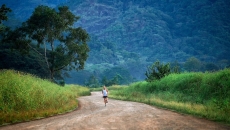 wide shot of a person running on a dirt road surround by tall grass and trees