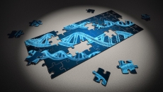 Arab health, genomic research, patient care