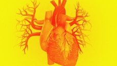 Heart Health