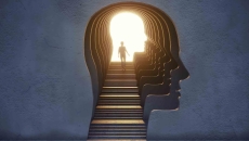 Human head and brain