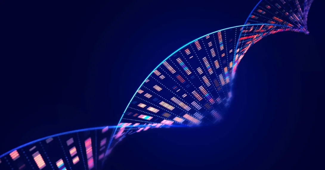 Human genome analysis DNA molecular structure Human genome analysis DNA molecular structure