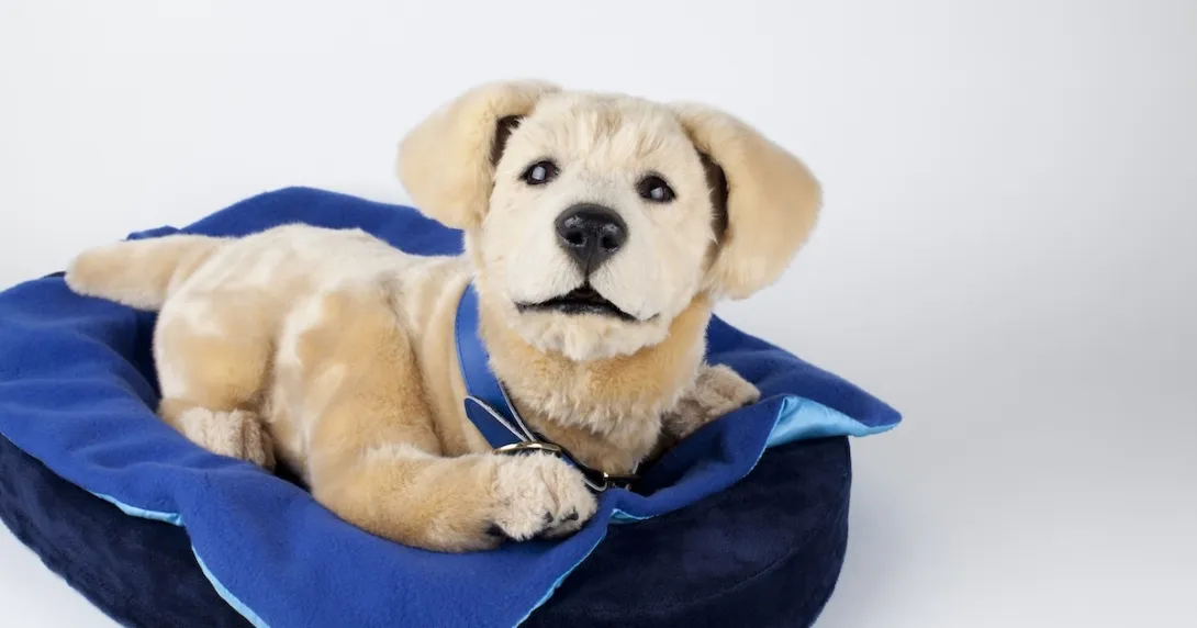 Image of robotic dog Image of robotic dog