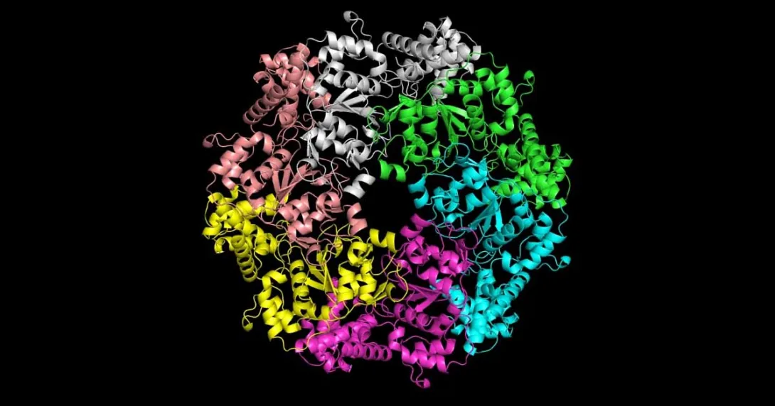 Seq2Symm proteins Seq2Symm proteins