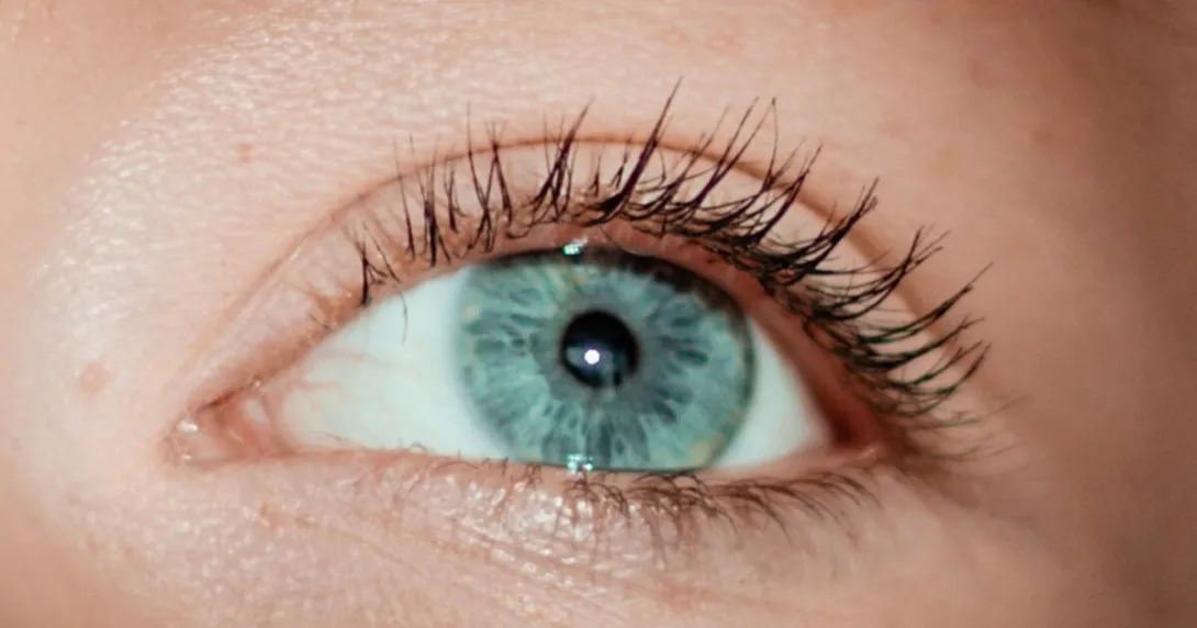 Photo of an eye Photo of an eye