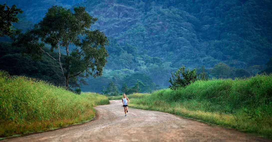 wide shot of a person running on a dirt road surround by tall grass and trees
