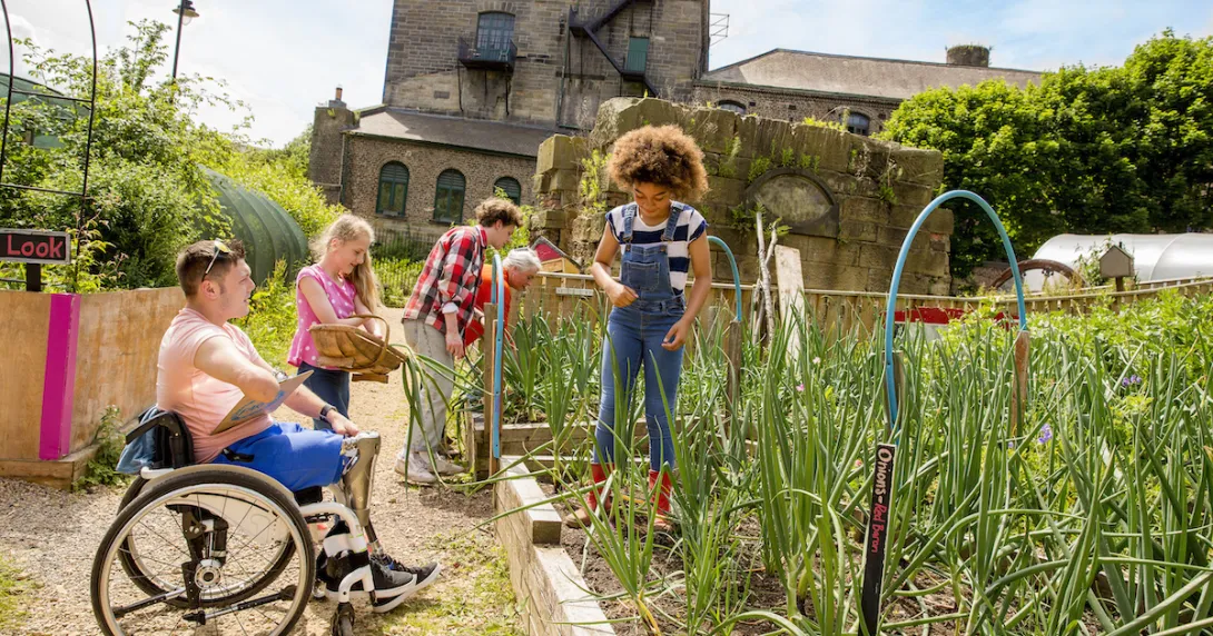 Gardening