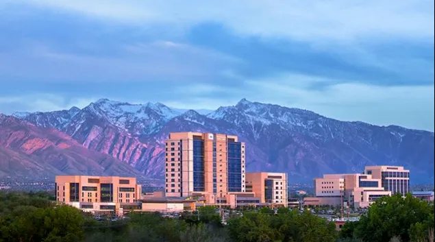 Intermountain complex before mountain background