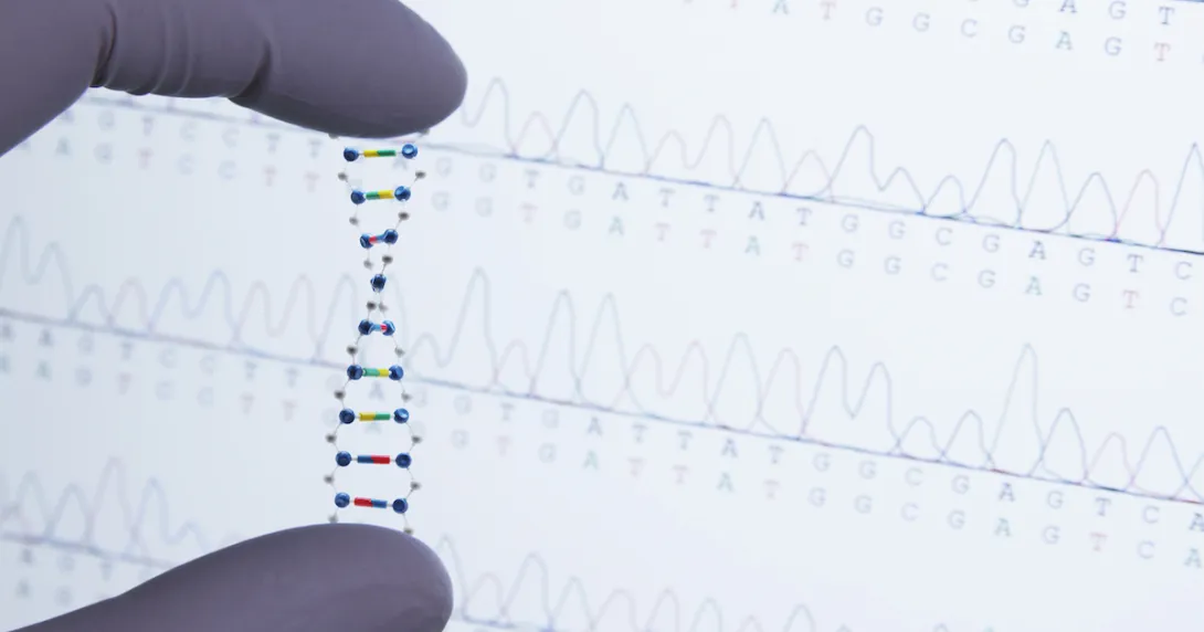 Model of a DNA strand held between two fingers