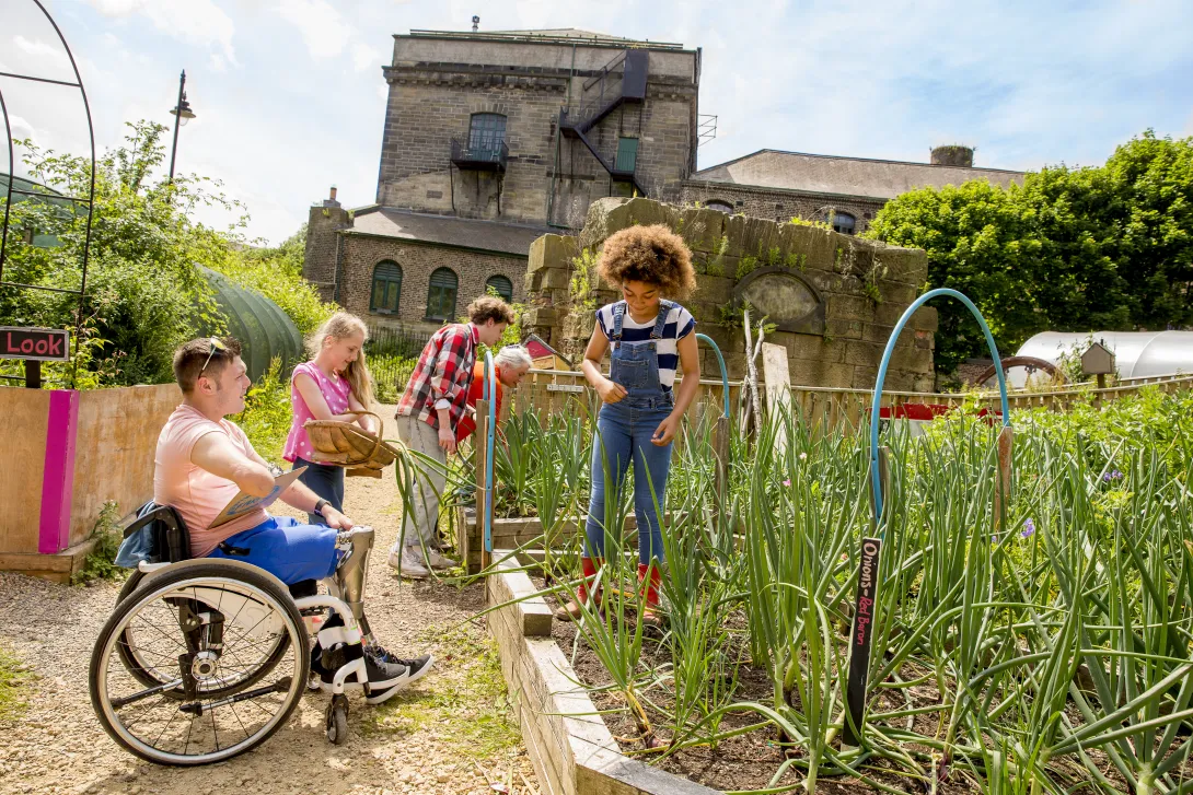 People gardening