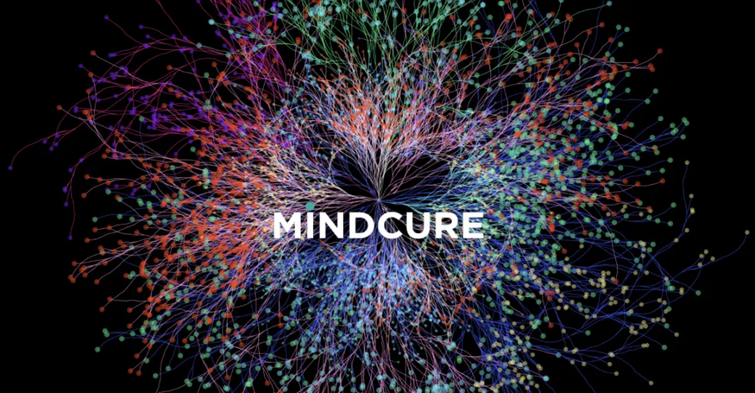 The platform works to empower patients to be more active in their care journey – and also creates a database of clinical practices and protocols for the psychedelic research community.