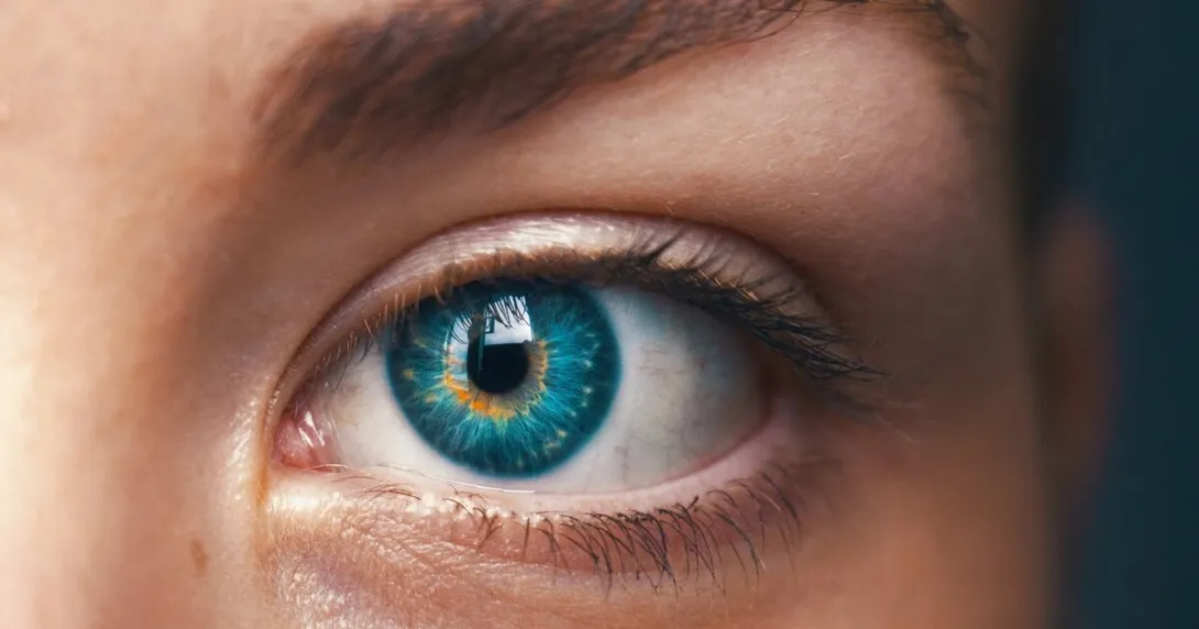 A photo of a human eye