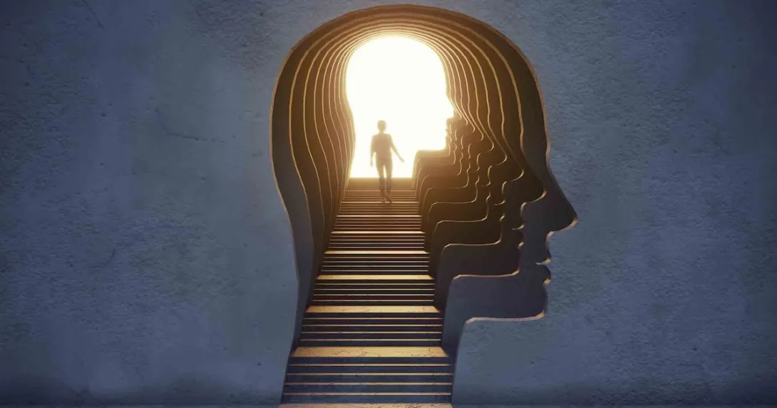 Human head and brain