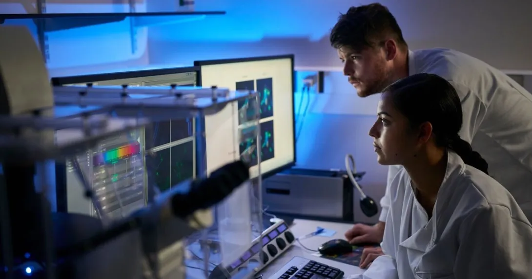 Researchers analysing data using a computer software